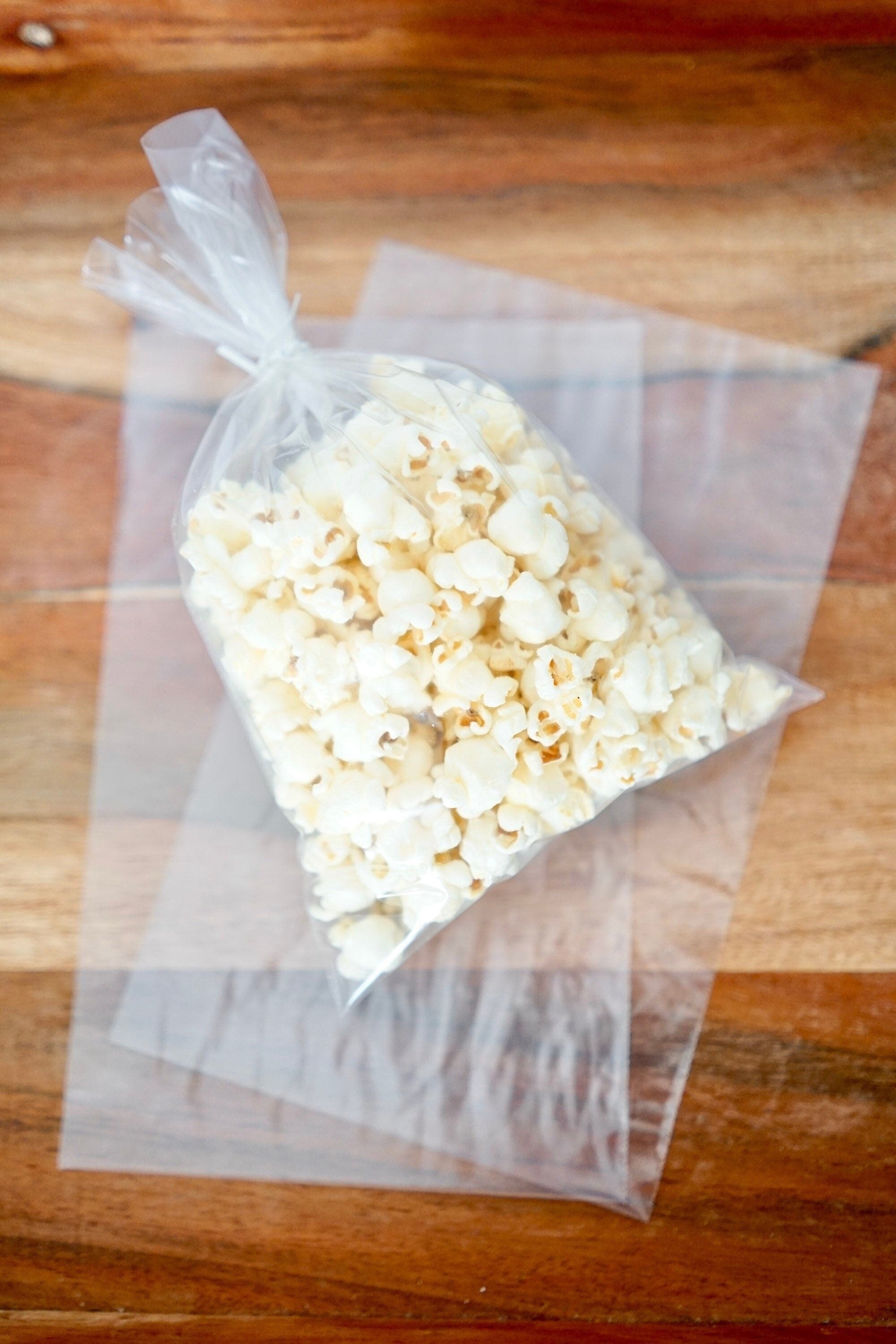 6x10 CLEAR Poly Notion Bags