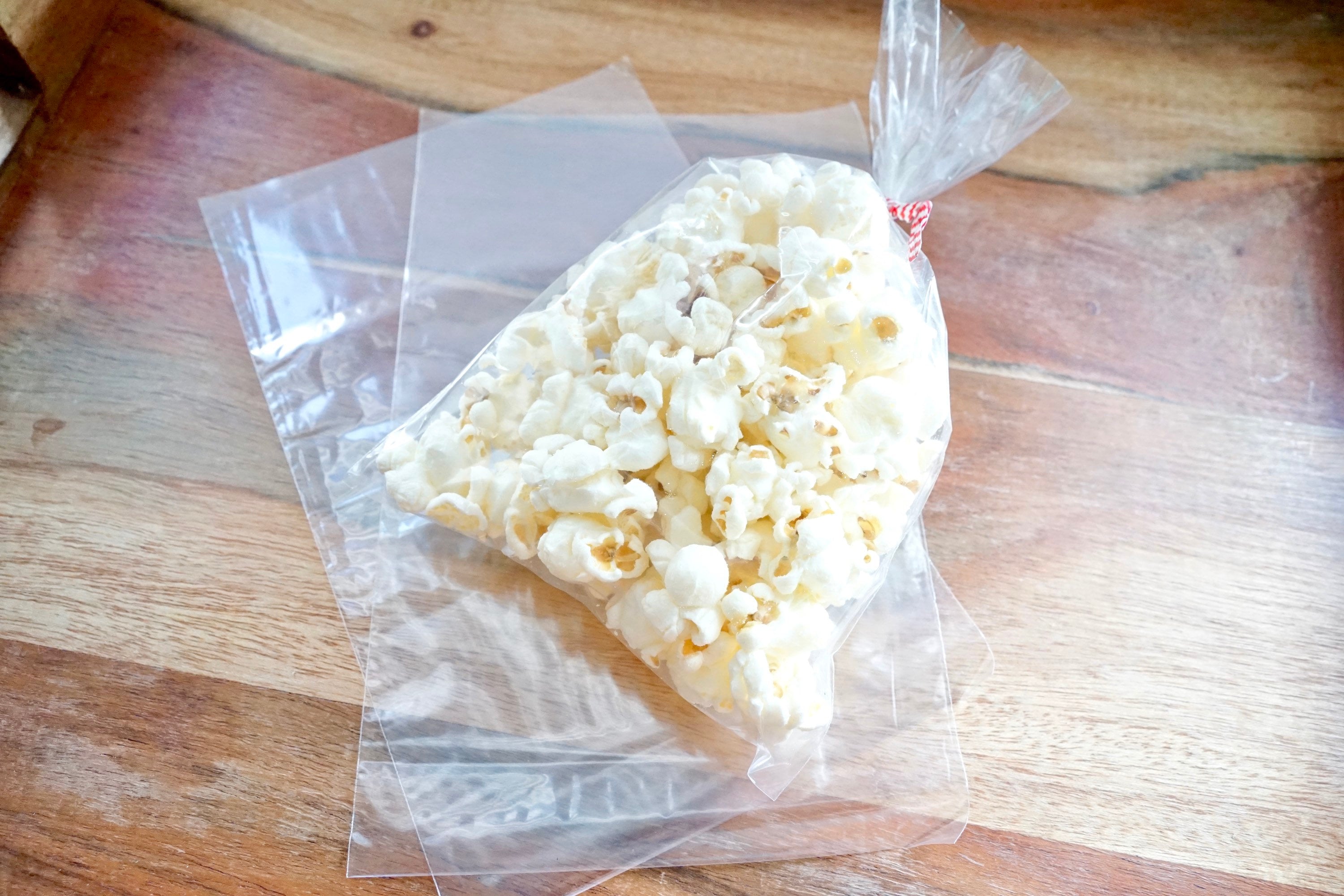 5x8 CLEAR Poly Notion Bags